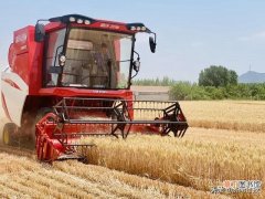 济南330万亩小麦收割全面展开 已收获两成以上