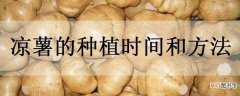 【方法】凉薯的种植时间和方法