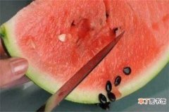 【种植方法】西瓜籽的种植方法