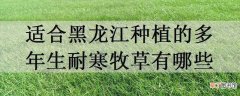 【黑龙江】适合黑龙江种植的多年生耐寒牧草有哪些