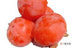 【肥料】柿子用什么肥料果实更甜 如何施肥才能增甜