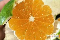 【花卉大全】柑橘脂点黄斑病用什么药最好