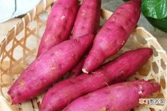 【肥料】栽红薯用什么肥料好 怎么施肥产量高