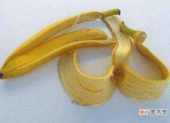 【方法】香蕉皮可以祛斑是真的吗，香蕉皮祛斑步骤：香蕉皮可以祛斑 香蕉皮