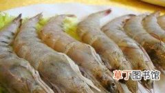 金湾大海虾怎么做才好吃？