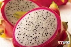 【吃】火龙果籽发芽不建议吃 火龙果食用禁忌