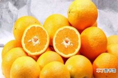 【种子】橙子种子怎么种植方法，4个步骤可让成活率翻倍：橙子种子的培育方