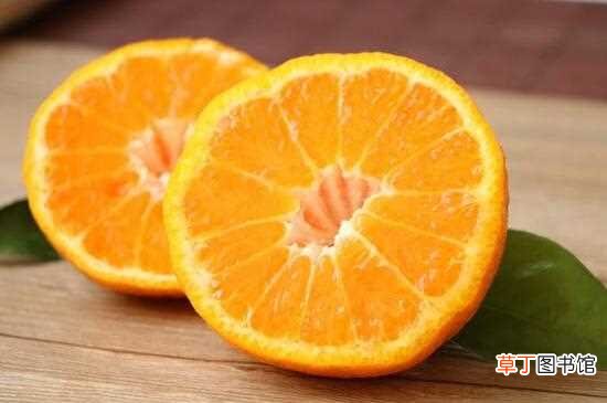【养殖方法】不知火丑橘的养殖方法