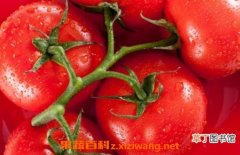 【用途】西红柿的妙用窍门 西红柿的用途有哪些