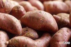 【红薯】血糖高能吃红薯吗 糖尿病患者可以吃吗