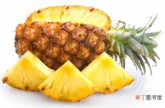 【方法】怎么挑选菠萝 菠萝的保存方法