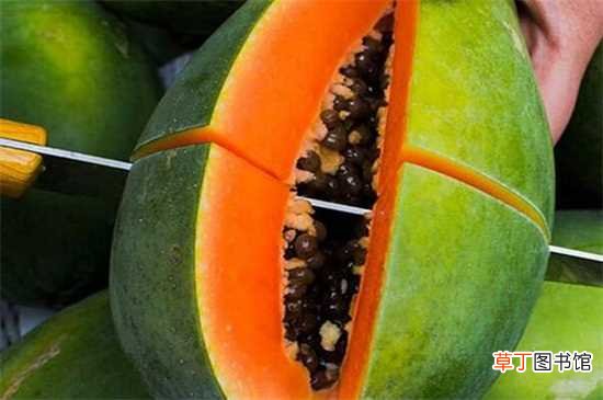 【水果】木瓜是秋季的应季水果