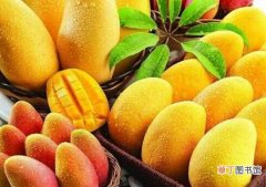 属温性水果 【吃】芒果吃多了会上火吗，芒果是热性还是凉性：芒果吃多了会