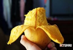 【吃】芒果皮能吃吗 芒果皮的作用