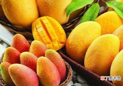 食用/使用 【作用】芒果的作用 芒果的功效