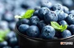 【吃】蓝莓吃多了会怎么样，腹胀腹泻体质变寒/容易患病：蓝莓吃多了会醉 蓝