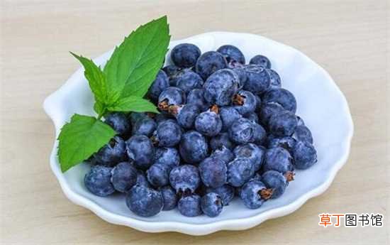 【健康】买来的盒装蓝莓要洗吗，要洗/以免残留农药影响健康：买来的盒装蓝莓要洗 蓝莓表皮的白霜可以吃