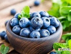 【功效】蓝莓的功效与作用禁忌，预防疾病美容瘦身又可抗衰老：蓝莓的3种功