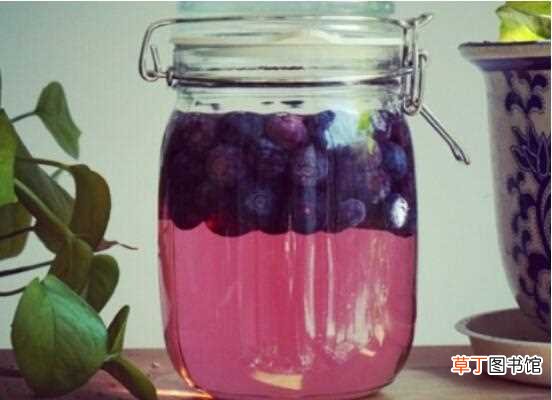 【制作】蓝莓酒的做法，蓝莓/冰糖/烈酒密封两个月即可饮用：蓝莓酒基本制作方法 蓝莓酒的保存禁忌