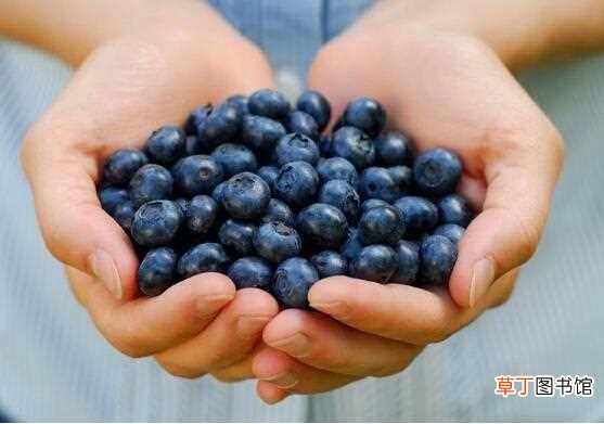【制作】蓝莓酒的做法，蓝莓/冰糖/烈酒密封两个月即可饮用：蓝莓酒基本制作方法 蓝莓酒的保存禁忌