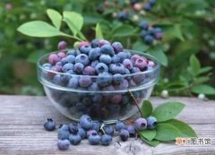 【吃】孕妇能吃蓝莓吗？ 孕妇吃蓝莓的好处