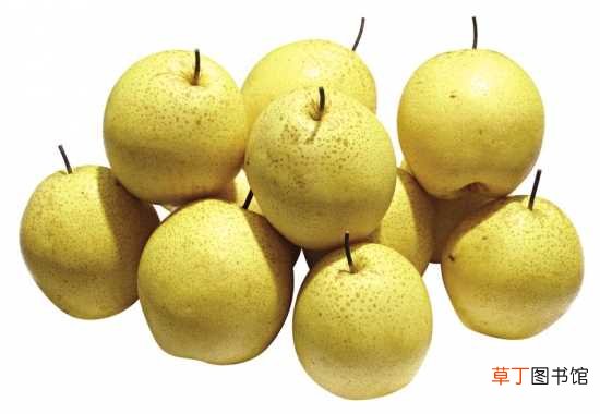 【梨】秋季吃梨的7大好处 秋季吃梨的10个禁忌