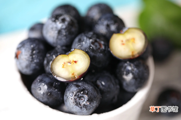 【花青素】蓝莓哪个品种花青素最多?什么品种的蓝莓花青素含量高