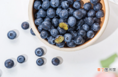 【花青素】蓝莓哪个品种花青素最多?什么品种的蓝莓花青素含量高