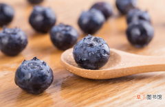 【花青素】蓝莓的花青素是在皮里还是果肉里?蓝莓花青素在皮上吗