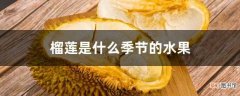 【季节】榴莲是什么季节的水果