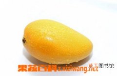 【芒果】芒果六疗法 看看芒果可以治疗哪些疾病