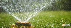 【夏天】草坪夏天一周浇水1~2次