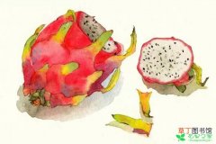 【适合】夏季宝宝最适合吃的水果有哪些？