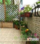 【方法】庭院绿化简易方法与技巧