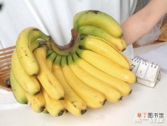 【香】芭蕉和香蕉的区别有哪些？