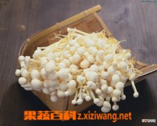 【栽培】金针菇栽培的病虫害防治