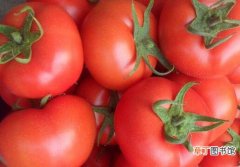 【吃】西红柿怎么吃减肥 西红柿的常见吃法