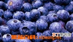 【功效】蓝莓冰酒的功效与作用
