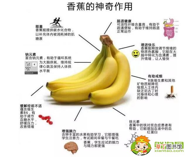 【香】吃香蕉有什么好处，虽不包治百病但可直接帮助我们心、脑问题