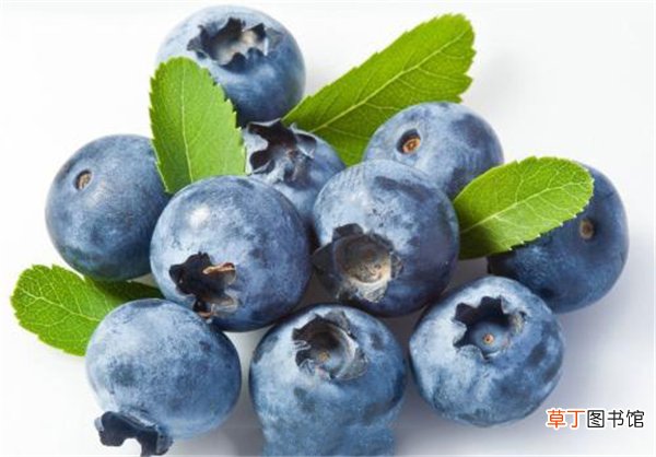 【适合】低糖水果排行榜 最适合糖尿病高血糖患者食用的水果