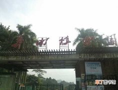 【植物】华南植物园作文700字 华南植物园作文600字