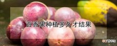 【香】百香果种植几年结果