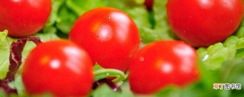 【番茄】碱性蔬菜有哪些：番茄 西葫芦