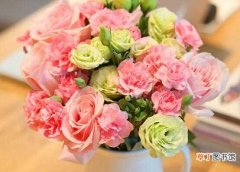 16朵 【花】母亲节应该送什么花，母亲节送康乃馨几朵最好：母亲节送康乃馨最