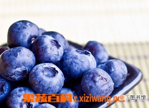 【功效作用】蓝莓的功效作用和吃法