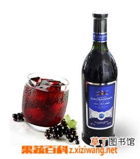 【蓝莓】蓝莓酒做法步骤