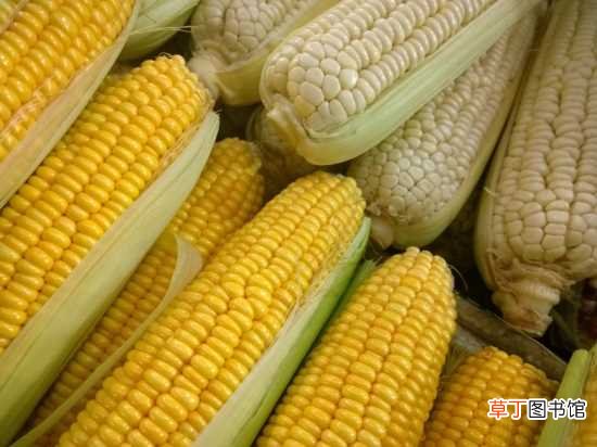 【食用】玉米的做法 食用注意事项