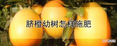 【树】脐橙幼树施肥方法