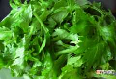 【叶子】芹菜叶子怎么腌 芹菜叶子的腌制方法