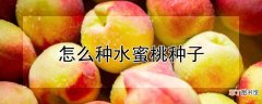 【桃】水蜜桃种子种植方法